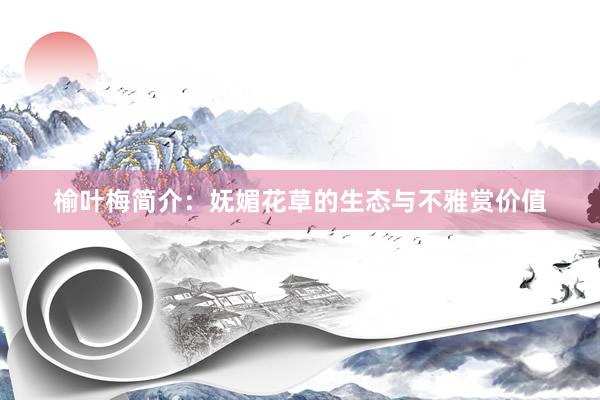 榆叶梅简介：妩媚花草的生态与不雅赏价值