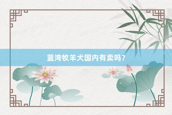 蓝湾牧羊犬国内有卖吗？