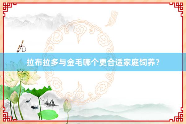 拉布拉多与金毛哪个更合适家庭饲养?